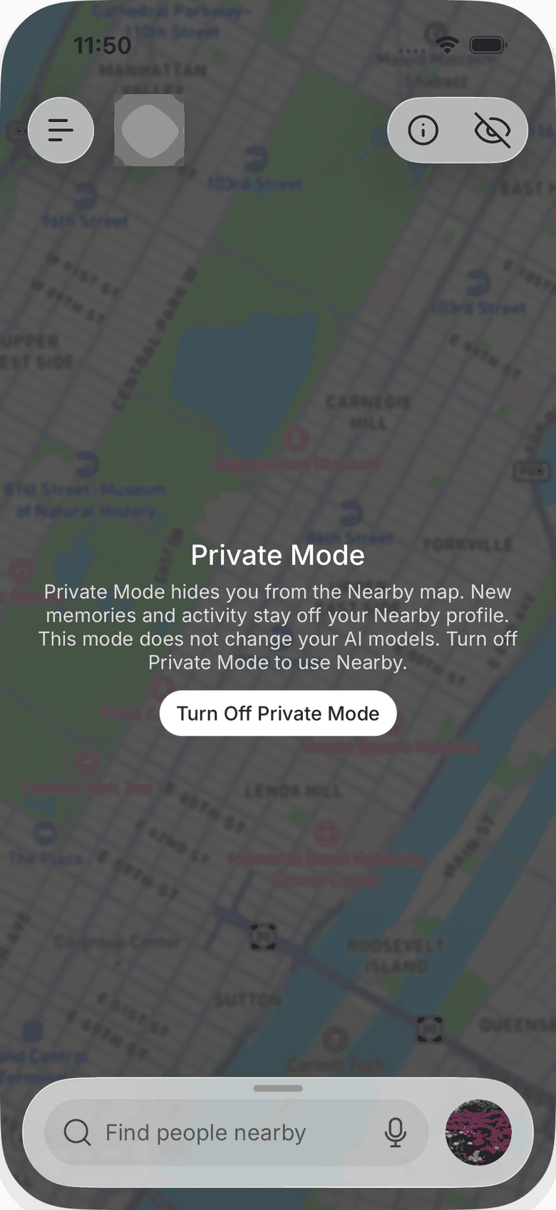 Private mode on iOS: the map is dimmed, the eye icon is crossed out, and a Turn Off Private Mode button sits in the middle