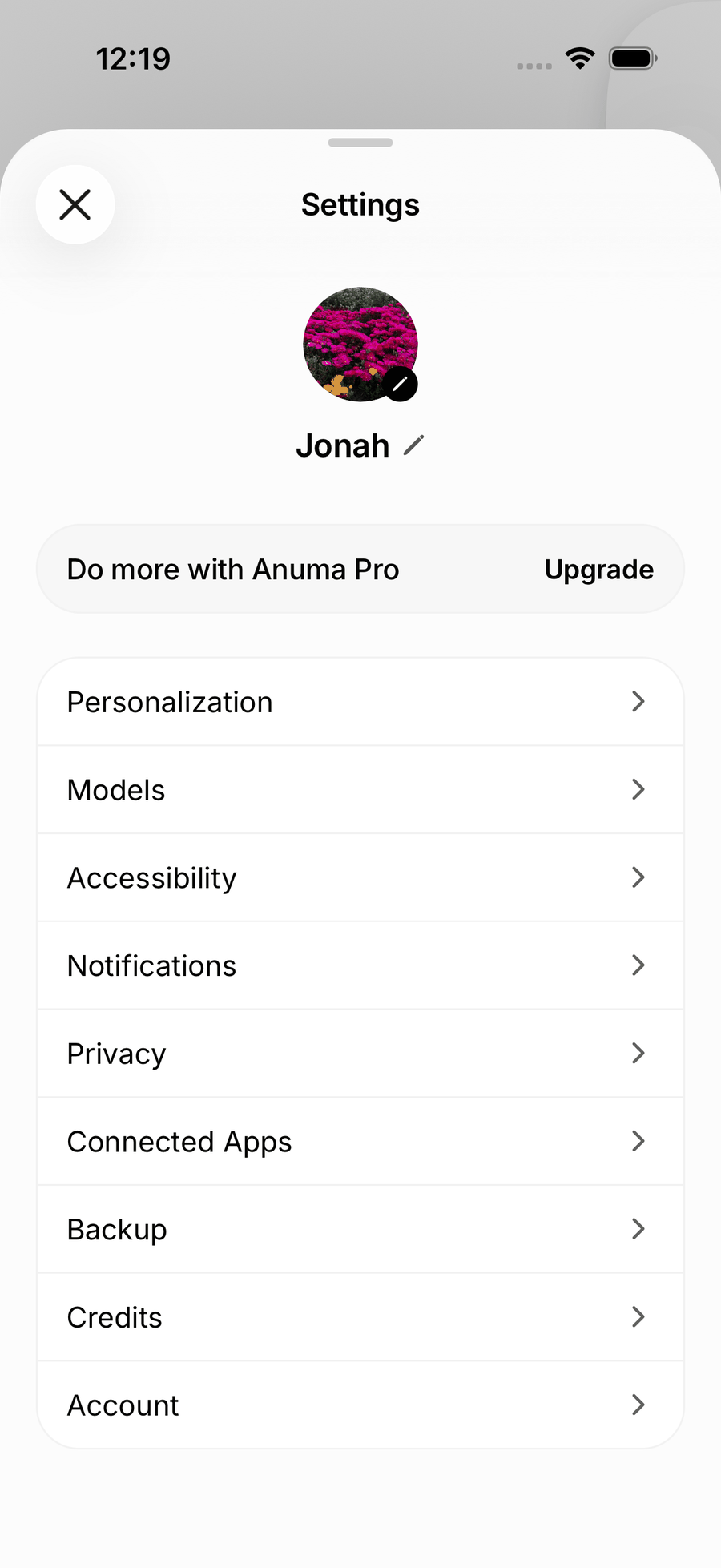 The Settings list in the iOS app with Personalization, Models, Accessibility, Notifications, Privacy, Connected Apps, Backup, Credits and Account