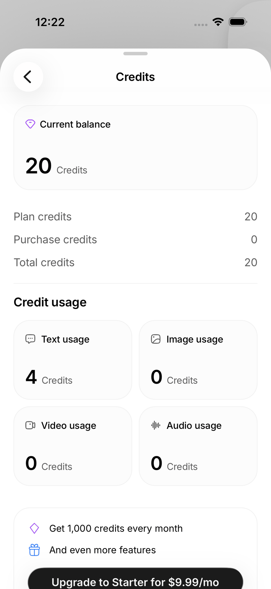 The Credits screen in the iOS app with the current balance, plan and purchased credits, and usage split into text, image, video and audio